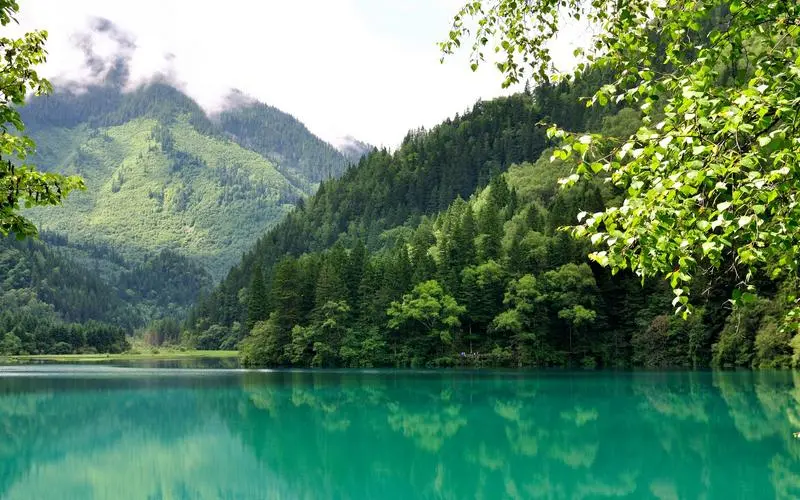 高性能高标准